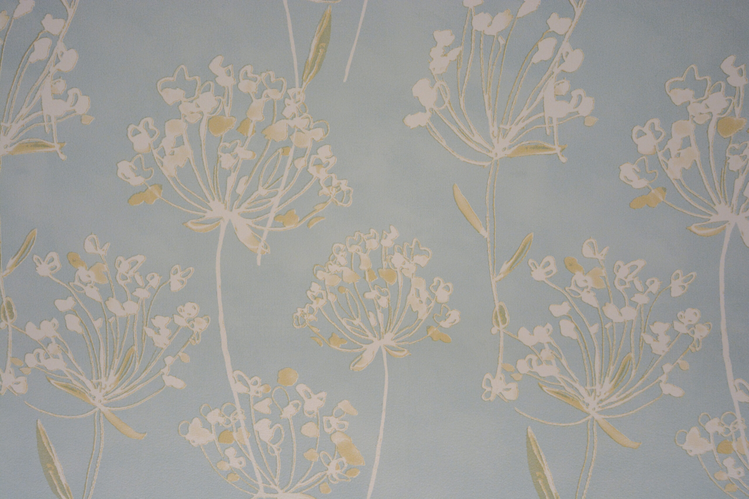 【家事室（クロス）】