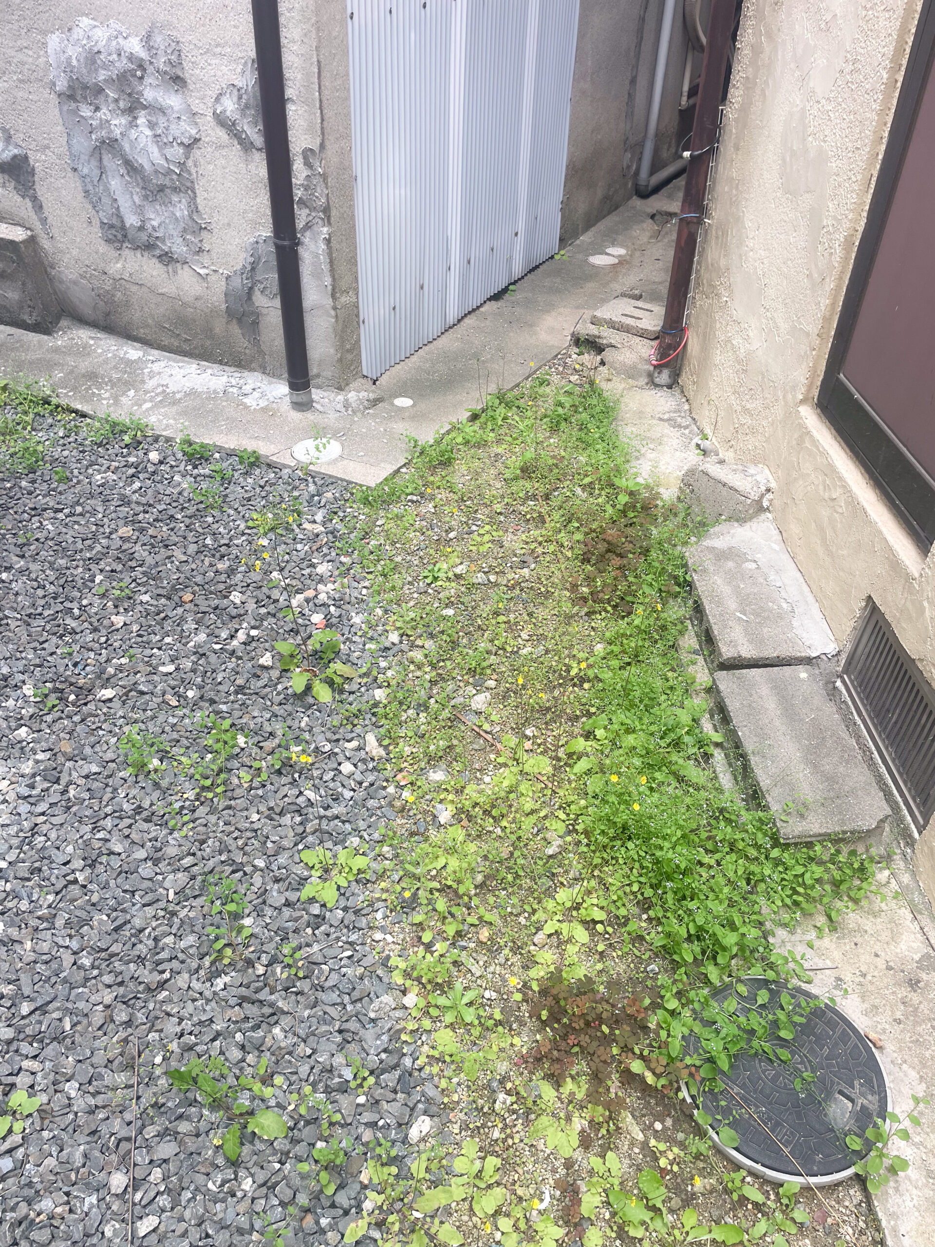 枚方市星丘一丁目　中古戸建　庭