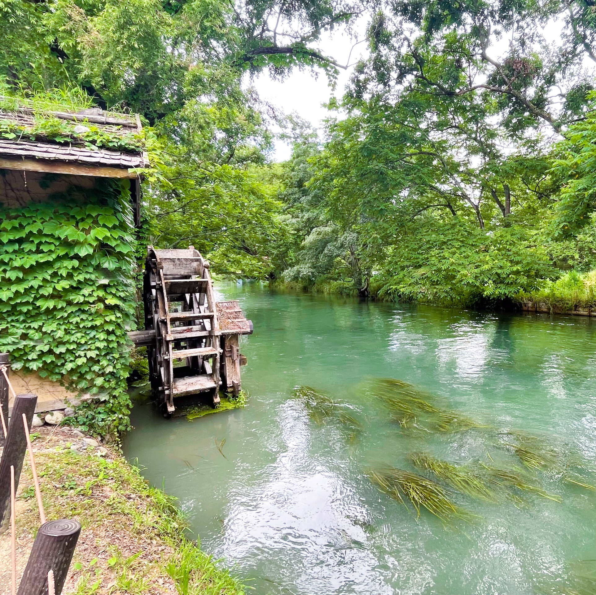 長野に研修旅行に行ってきました！