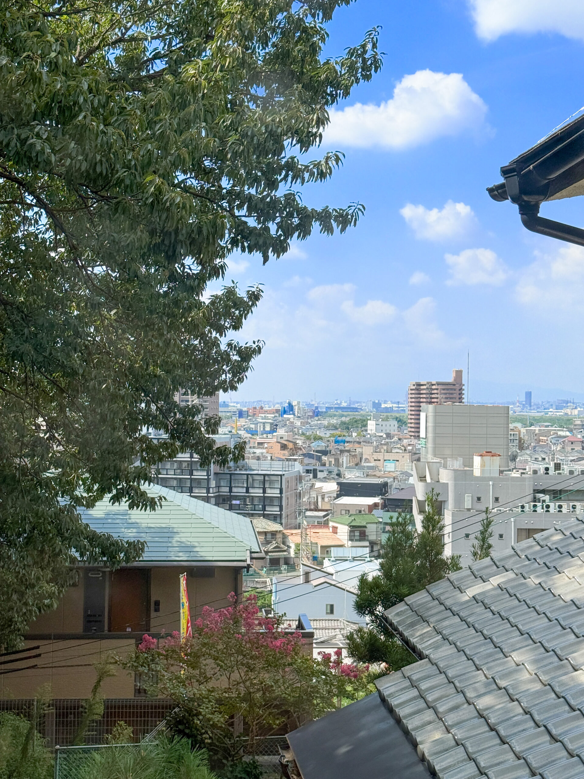 枚方市南中振一丁目　中古戸建　眺望